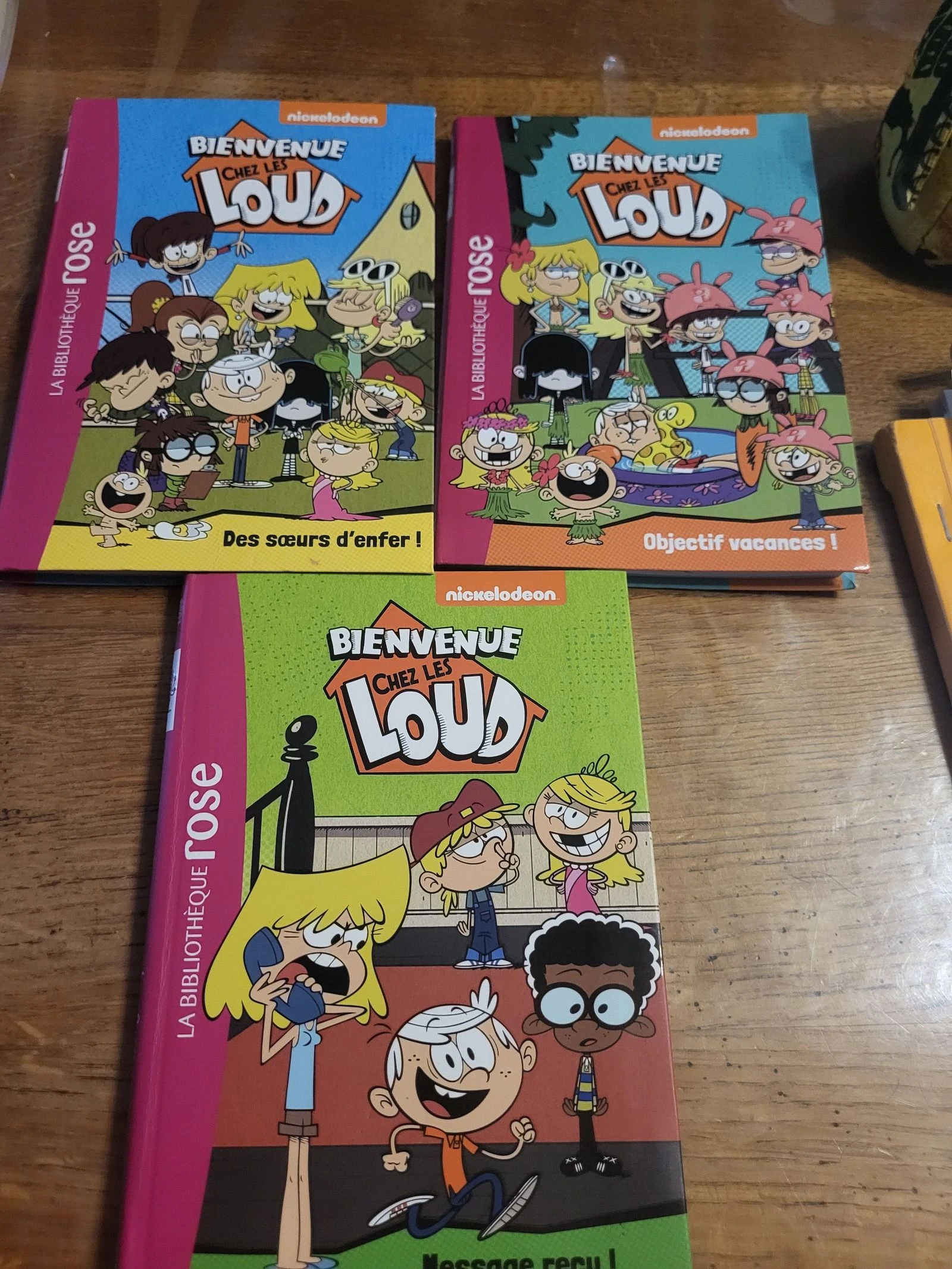 Lot 3 livres Bienvenue chez les LIUD